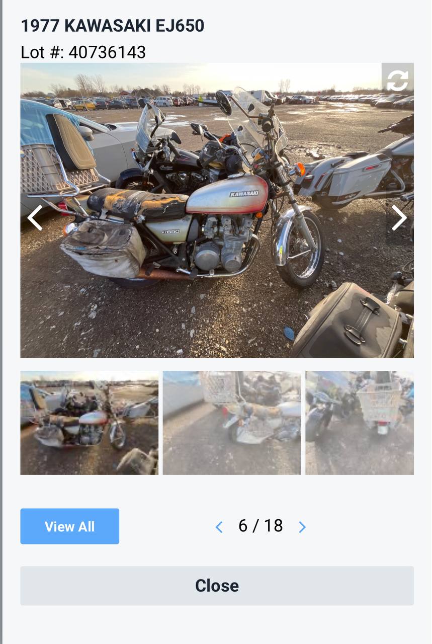 Auction photo