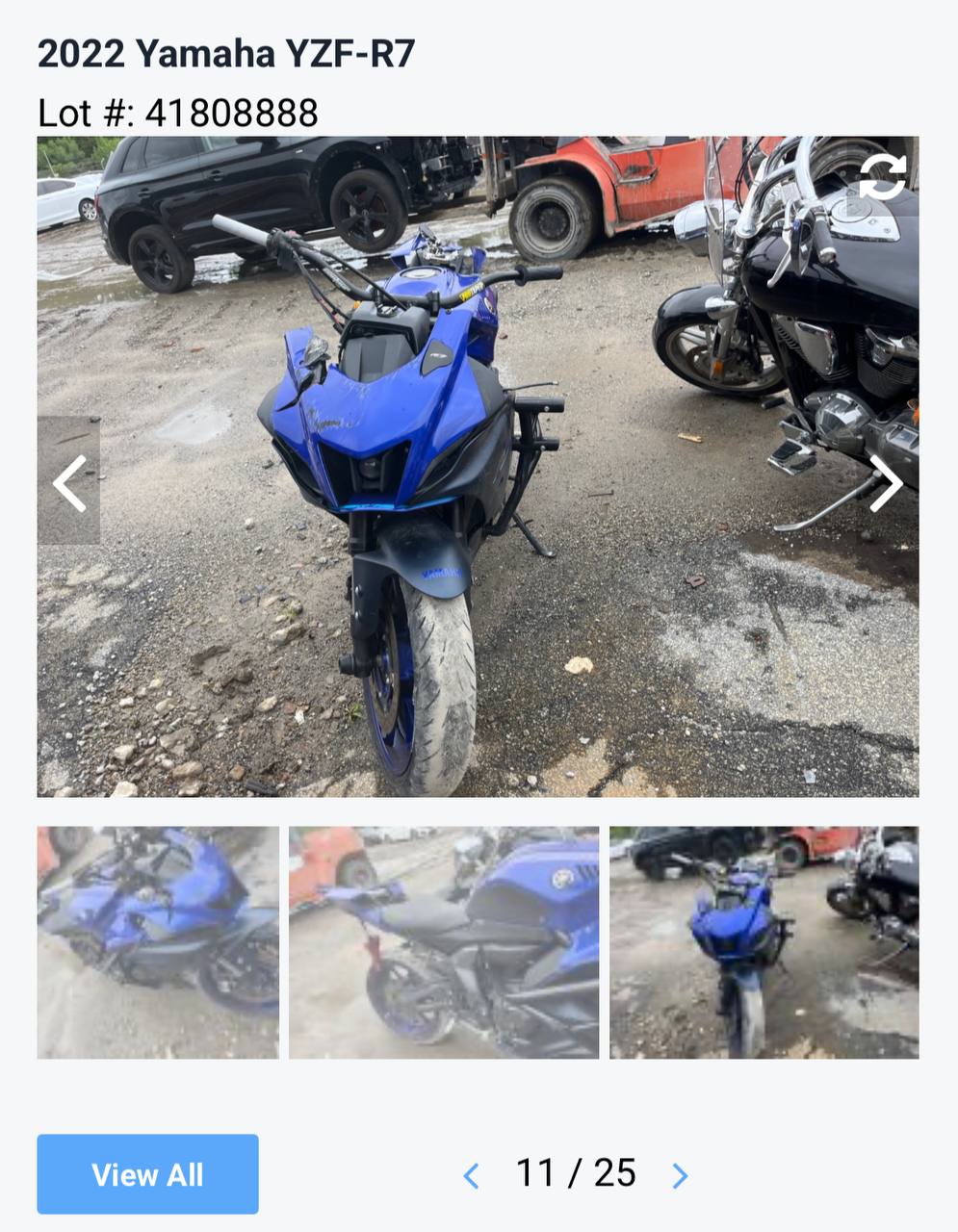 Auction photo