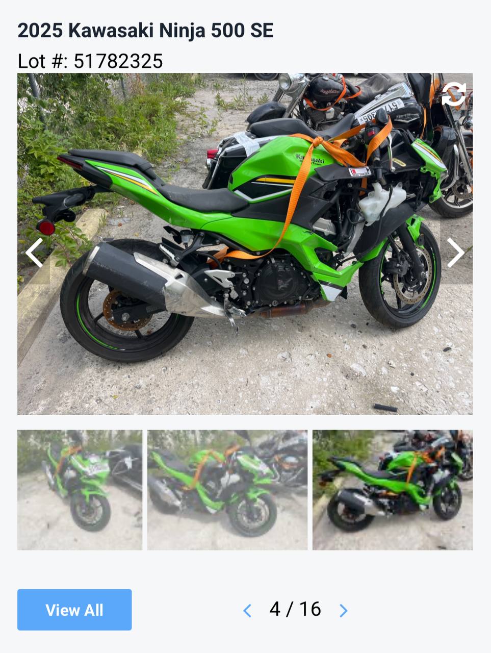Auction photo