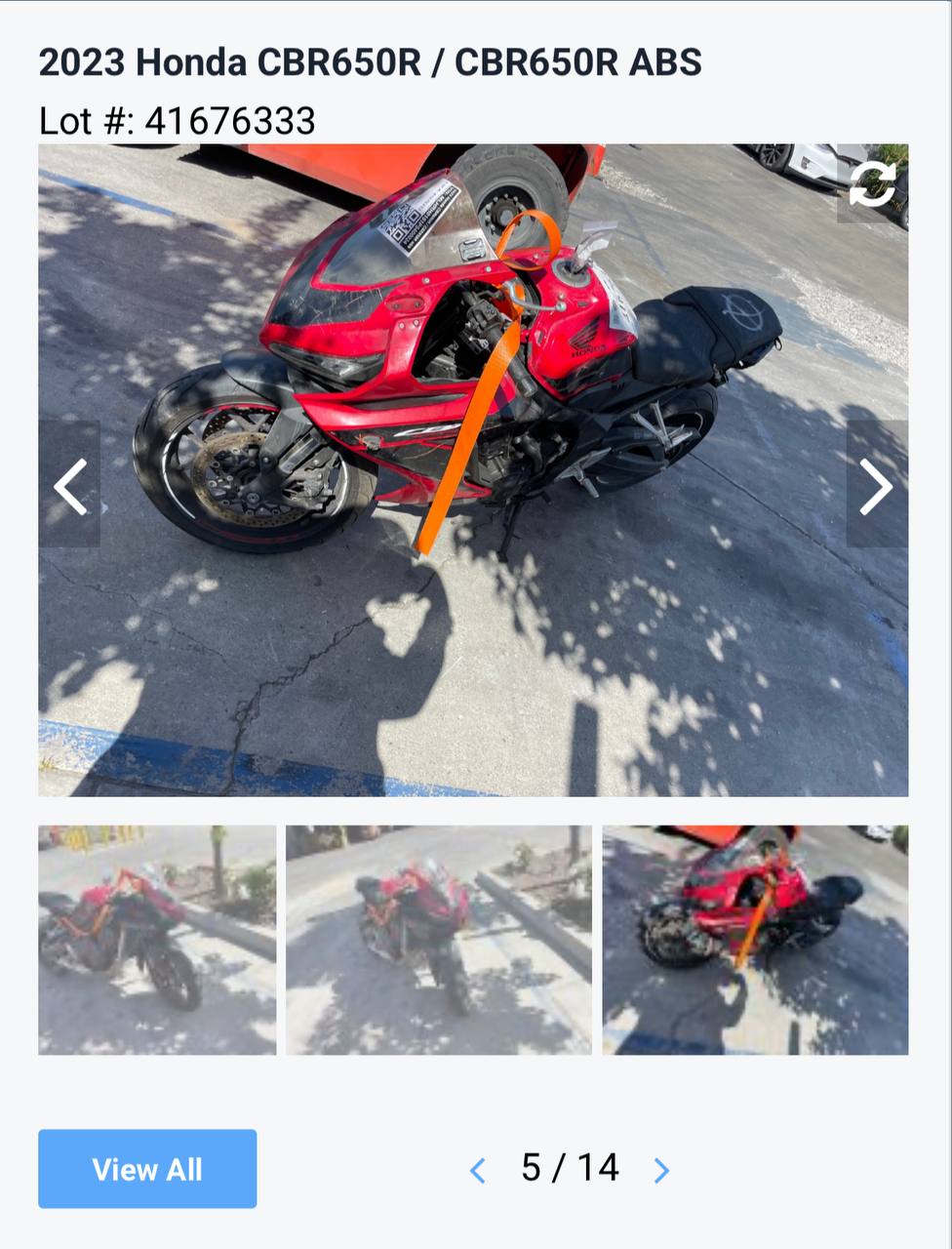 Auction photo