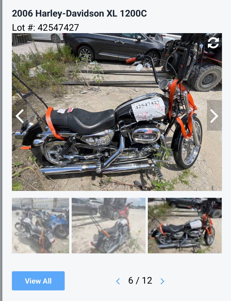 Auction photo